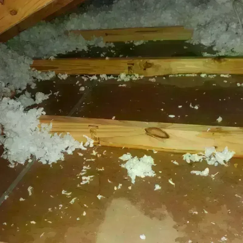 Attic Water Damage in Meredith, NH